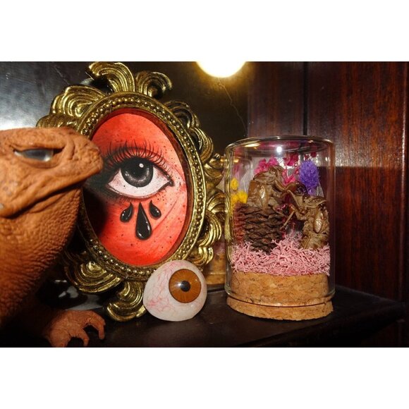 Cicada Skin in Pinecone Nature Art Oddity Jar flower goth curiosity taxidermy - Picture 3 of 10